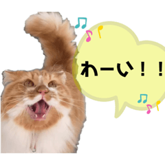 [LINEスタンプ] 変顔猫かのえ