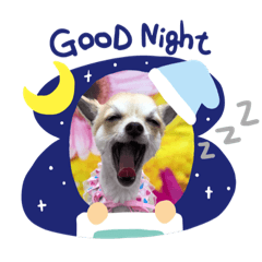 [LINEスタンプ] あんころの日常