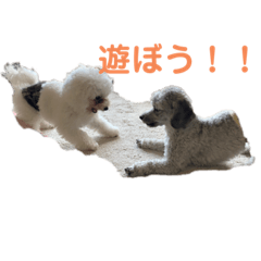 [LINEスタンプ] バディ＆ラテ