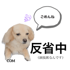 [LINEスタンプ] こむぎーぬ・1