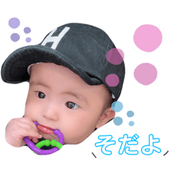 [LINEスタンプ] はる坊ちゃんの一言スタンプ♡