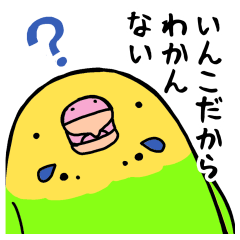 [LINEスタンプ] まんまるいんこちゃんのスタンプ