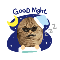 [LINEスタンプ] まるちゃんと一緒スタンプ