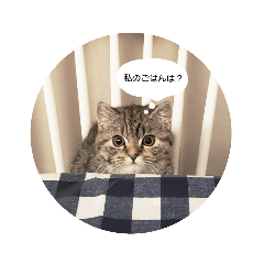 [LINEスタンプ] maru maru stamp