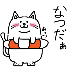 [LINEスタンプ] とっきーにゃんこの日常