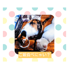 [LINEスタンプ] フランはくにゃんdays