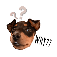 [LINEスタンプ] MALIBUdog2