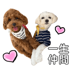 [LINEスタンプ] みちとら