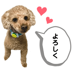 [LINEスタンプ] 茶色いモコモコの犬
