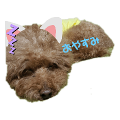 [LINEスタンプ] ろいくんのつぶやき
