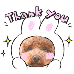 [LINEスタンプ] キュートなケンちゃん