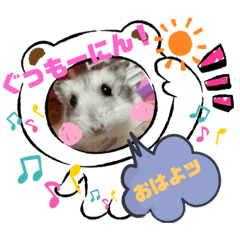 [LINEスタンプ] プリンの日常生活