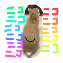 [LINEスタンプ] みそP