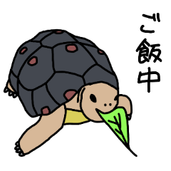 [LINEスタンプ] かめのいちにち