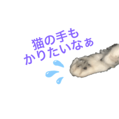 [LINEスタンプ] しるこスタンプ