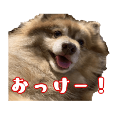 [LINEスタンプ] そら's スタンプ