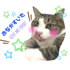 [LINEスタンプ] ゆずの日常スタンプ。