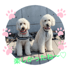 [LINEスタンプ] のえる＆のあ＆ハク君❤