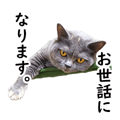 [LINEスタンプ] るん嬢の敬語スタンプ（ブリティッシュ）