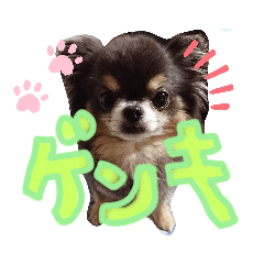[LINEスタンプ] おゲンスタンプ
