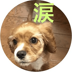 [LINEスタンプ] ベルのスタンプ 002