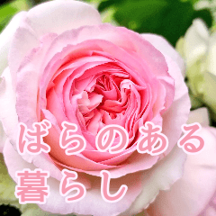 [LINEスタンプ] 薔薇と暮らす