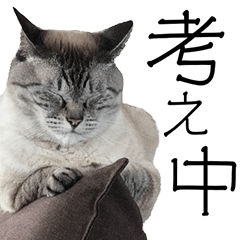 [LINEスタンプ] にゃん太とトラ