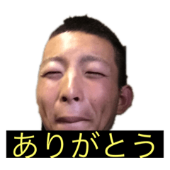 [LINEスタンプ] よいしょ 日常会話ver