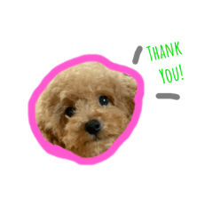 [LINEスタンプ] mydogs stamp