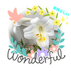 [LINEスタンプ] 空と花と君と
