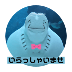 [LINEスタンプ] タロの水族館