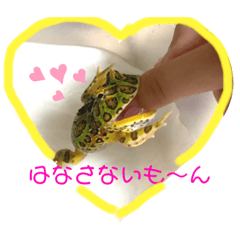 [LINEスタンプ] カエル3 桜