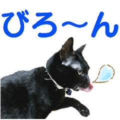 [LINEスタンプ] かーちゃんちのスタンプ