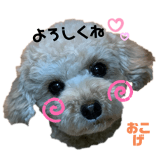 [LINEスタンプ] おごげワールド