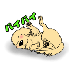 [LINEスタンプ] ゴルちゃんの日常スタンプ（日本語 ver.）