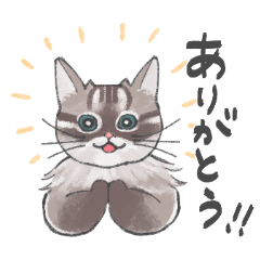 [LINEスタンプ] ネコチャンスタンプ！