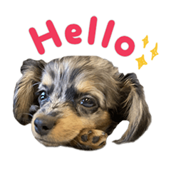 [LINEスタンプ] 諭吉くんの日常スタンプ