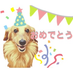 [LINEスタンプ] ダックスのロンちゃん