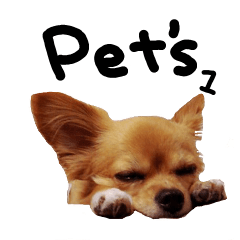 [LINEスタンプ] わん！にゃん！