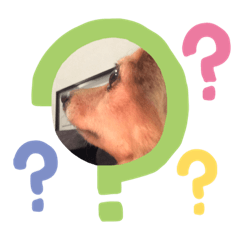 [LINEスタンプ] 飼い主しか得しないやつ