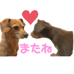 [LINEスタンプ] むぎもずスタンプ2