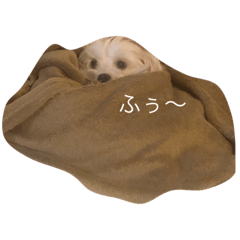[LINEスタンプ] おれ、くう。