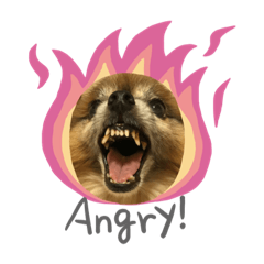 [LINEスタンプ] 犬の表情豊かな日常スタンプ