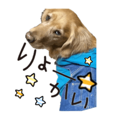 [LINEスタンプ] ショートくんの日常使えるスタンプ