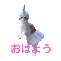 [LINEスタンプ] ポン太のスタンプ第3弾出来ました