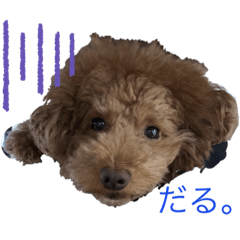 [LINEスタンプ] アロンとサナの生活ver.3