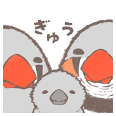 [LINEスタンプ] ちょっと太めのキンカチョウ