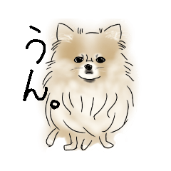 [LINEスタンプ] うちのいぬのやつ