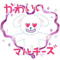 [LINEスタンプ] マルチーズの可愛い日常
