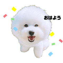 [LINEスタンプ] うにーに